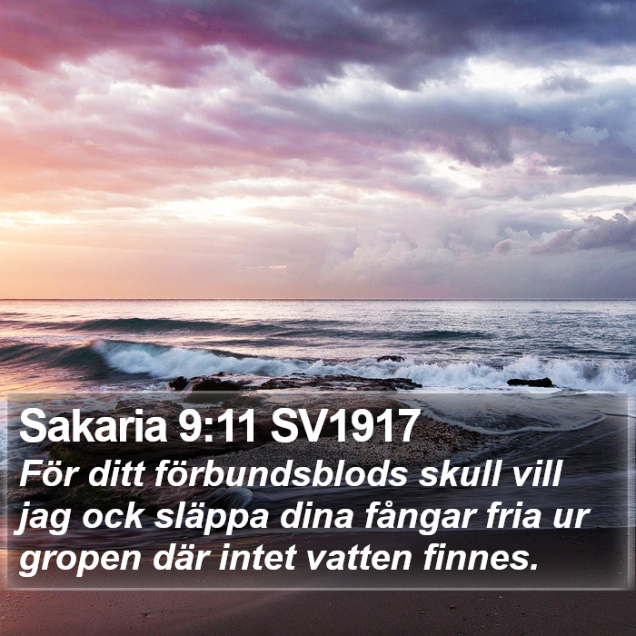 Sakaria 9:11 SV1917 Bible Study