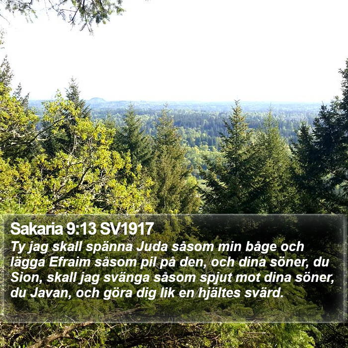 Sakaria 9:13 SV1917 Bible Study