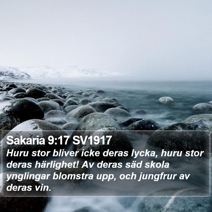 Sakaria 9:17 SV1917 Bible Study