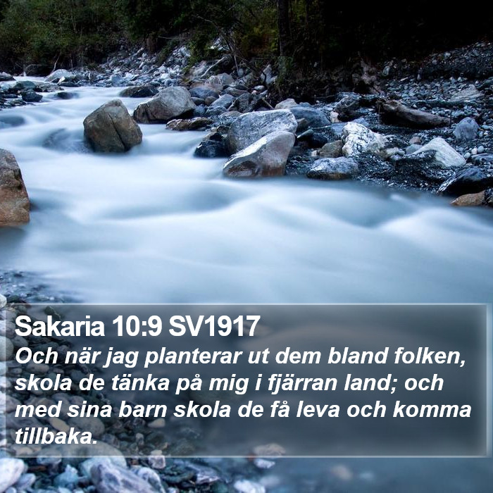 Sakaria 10:9 SV1917 Bible Study