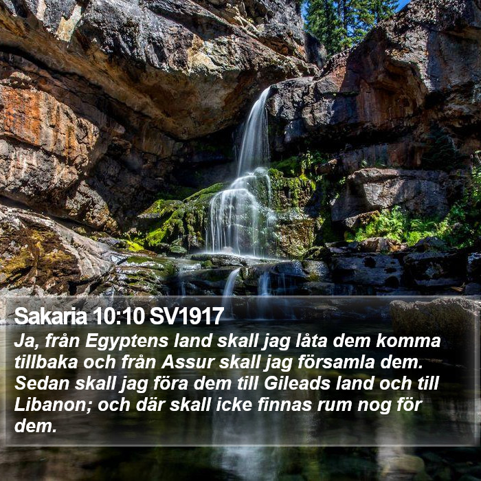 Sakaria 10:10 SV1917 Bible Study