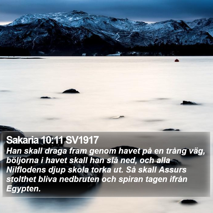 Sakaria 10:11 SV1917 Bible Study