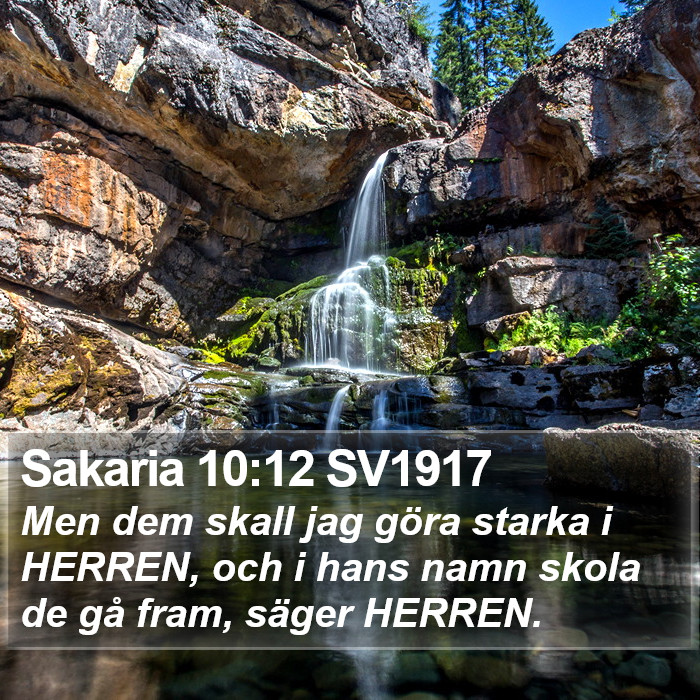 Sakaria 10:12 SV1917 Bible Study