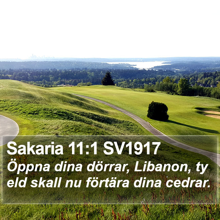 Sakaria 11:1 SV1917 Bible Study