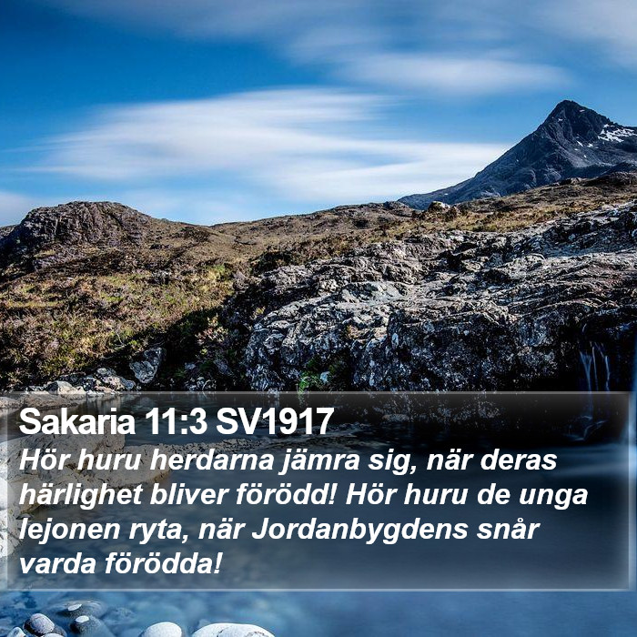 Sakaria 11:3 SV1917 Bible Study