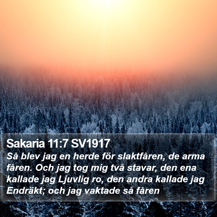 Sakaria 11:7 SV1917 Bible Study