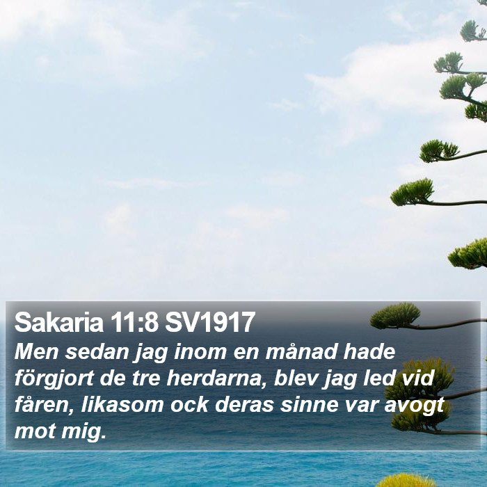 Sakaria 11:8 SV1917 Bible Study