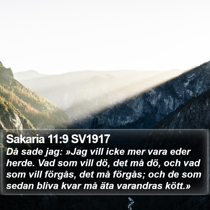 Sakaria 11:9 SV1917 Bible Study