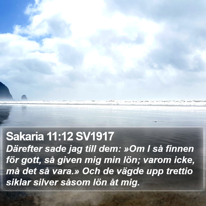 Sakaria 11:12 SV1917 Bible Study