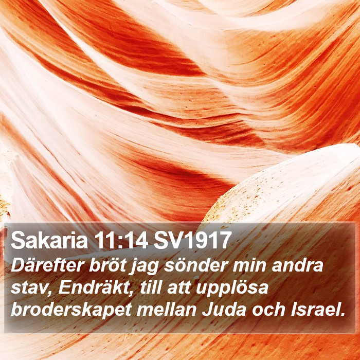 Sakaria 11:14 SV1917 Bible Study