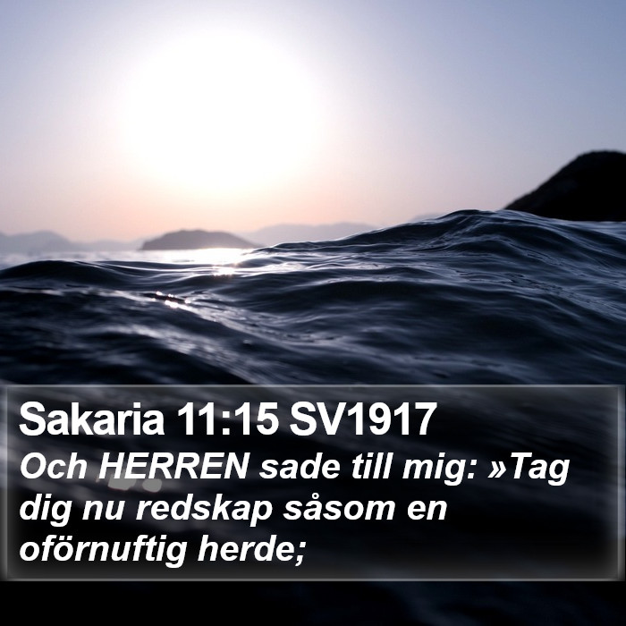 Sakaria 11:15 SV1917 Bible Study