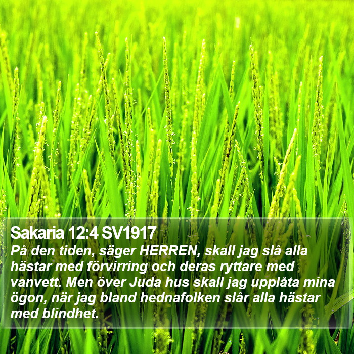 Sakaria 12:4 SV1917 Bible Study