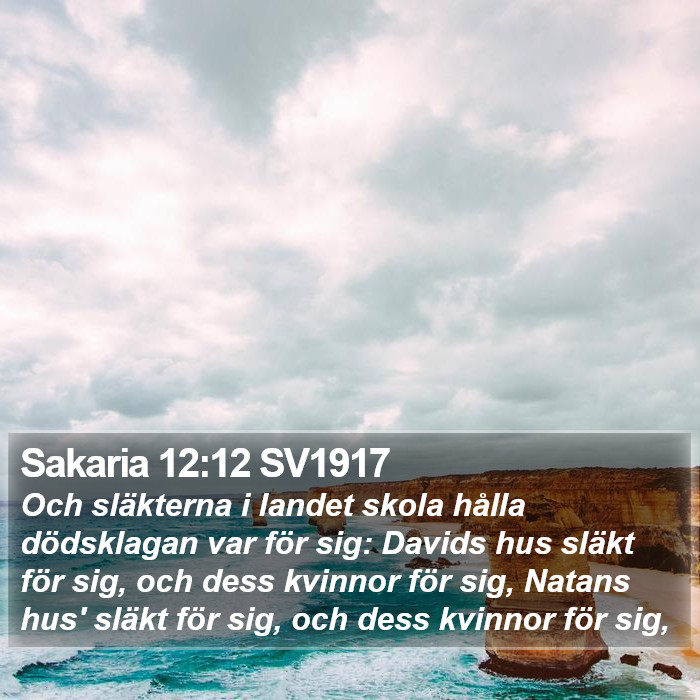 Sakaria 12:12 SV1917 Bible Study