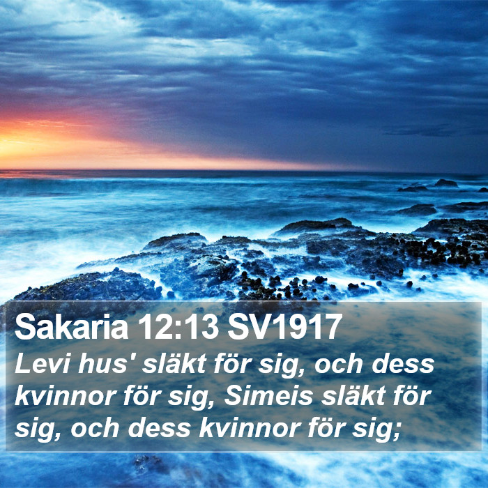 Sakaria 12:13 SV1917 Bible Study