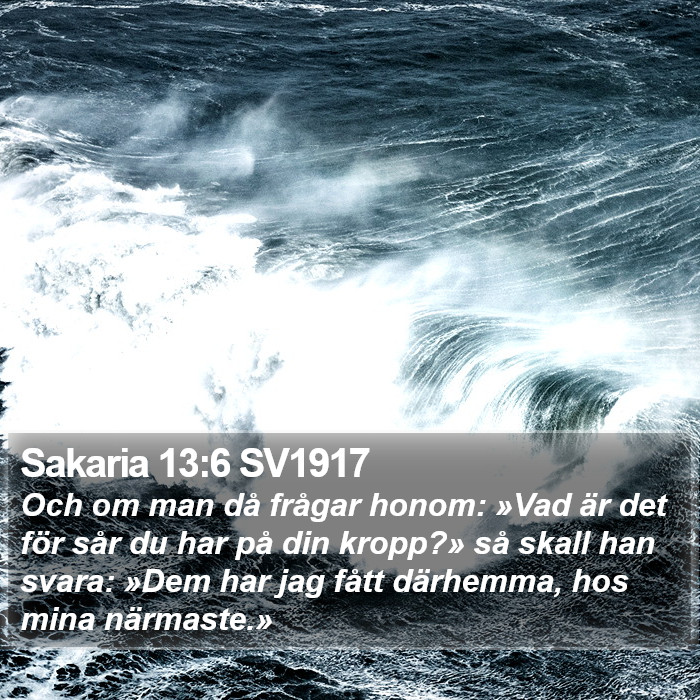 Sakaria 13:6 SV1917 Bible Study