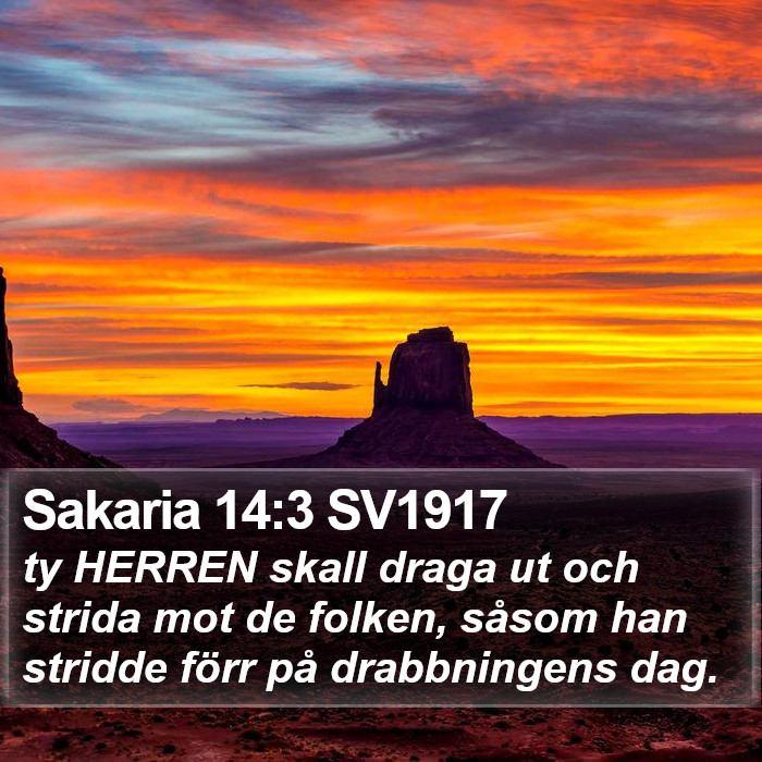 Sakaria 14:3 SV1917 Bible Study