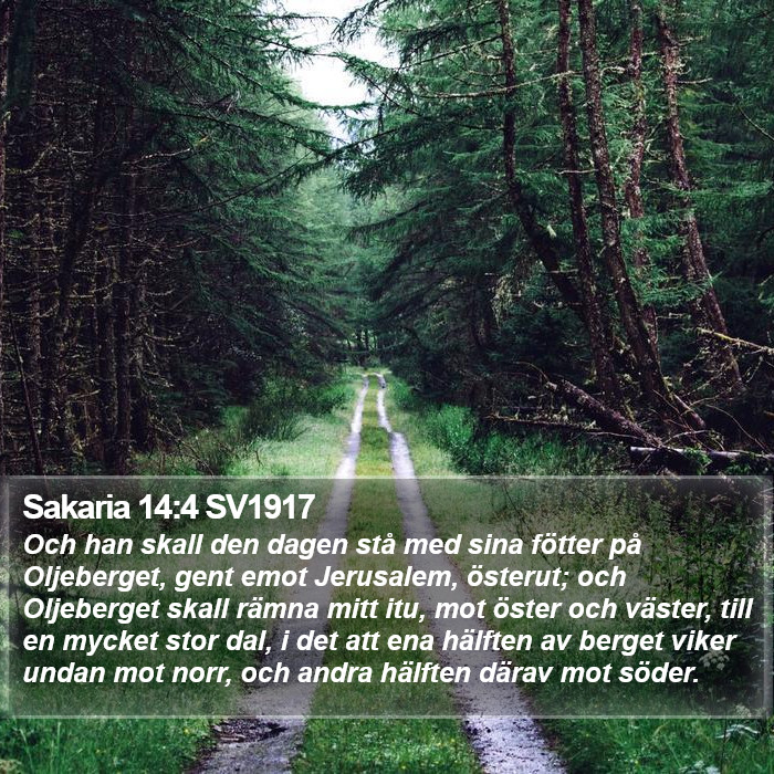 Sakaria 14:4 SV1917 Bible Study