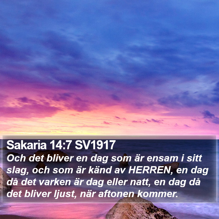 Sakaria 14:7 SV1917 Bible Study