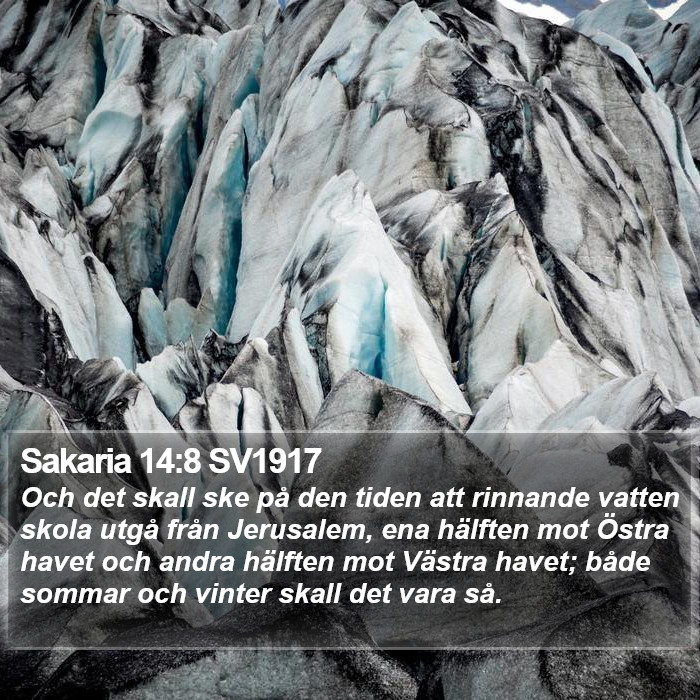 Sakaria 14:8 SV1917 Bible Study