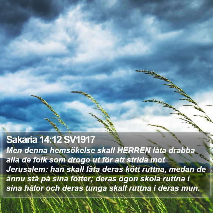 Sakaria 14:12 SV1917 Bible Study