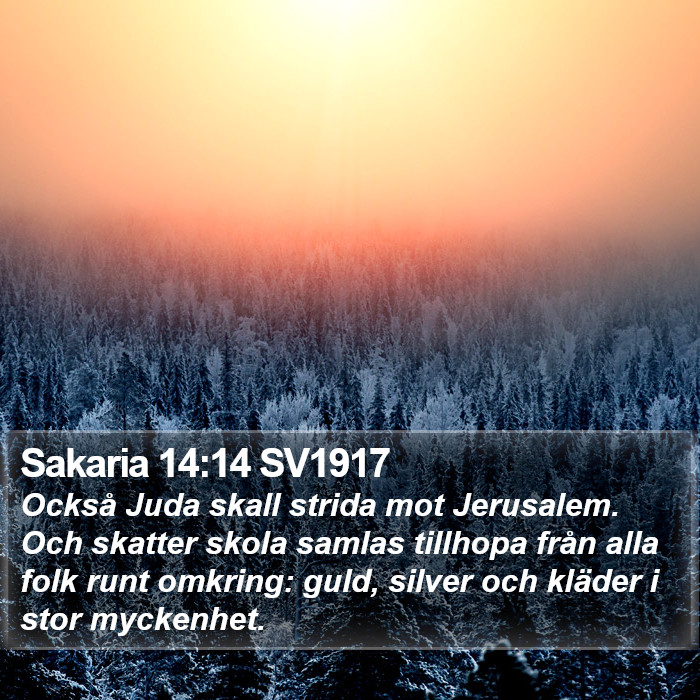 Sakaria 14:14 SV1917 Bible Study