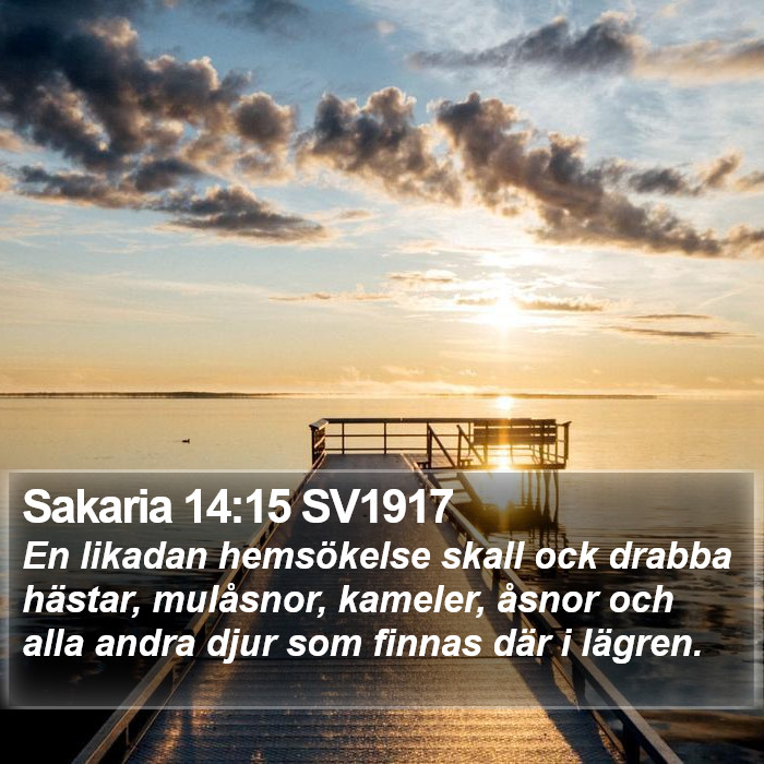 Sakaria 14:15 SV1917 Bible Study