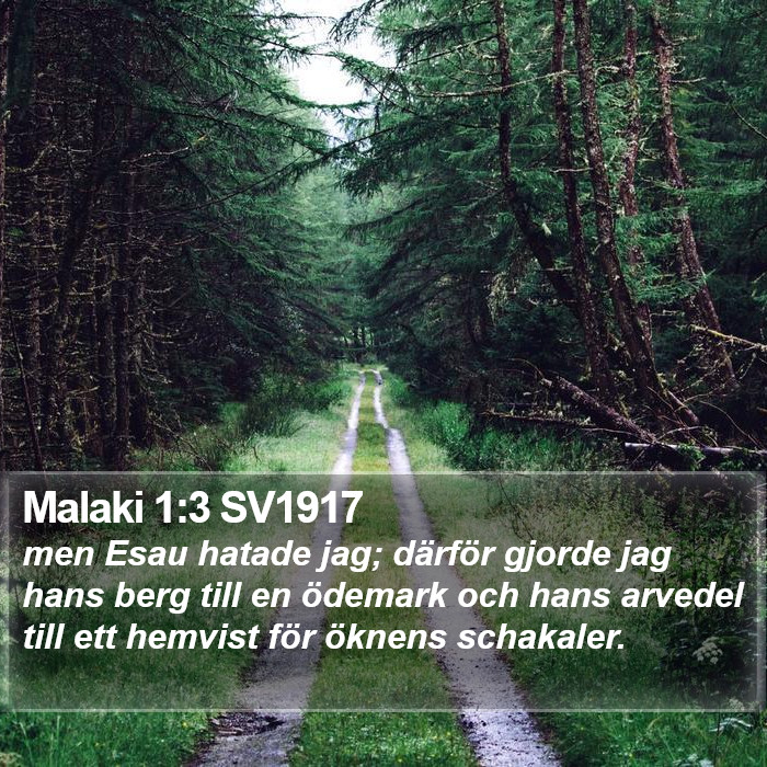 Malaki 1:3 SV1917 Bible Study