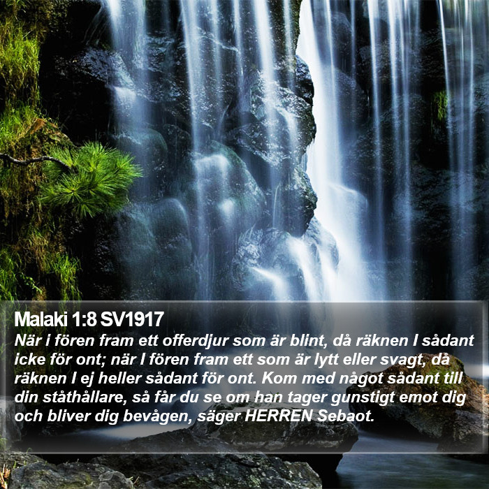 Malaki 1:8 SV1917 Bible Study