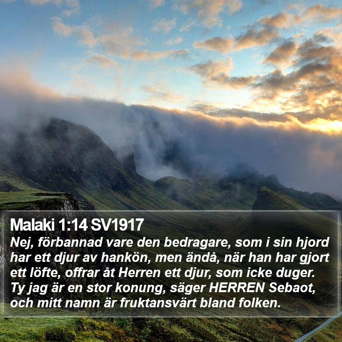 Malaki 1:14 SV1917 Bible Study