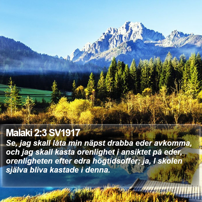 Malaki 2:3 SV1917 Bible Study