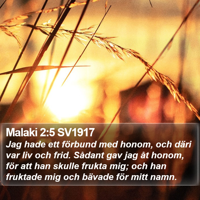 Malaki 2:5 SV1917 Bible Study