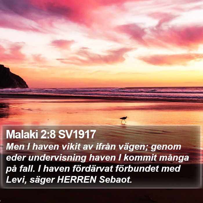 Malaki 2:8 SV1917 Bible Study