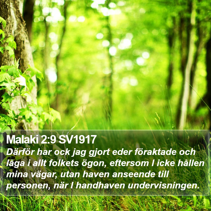 Malaki 2:9 SV1917 Bible Study
