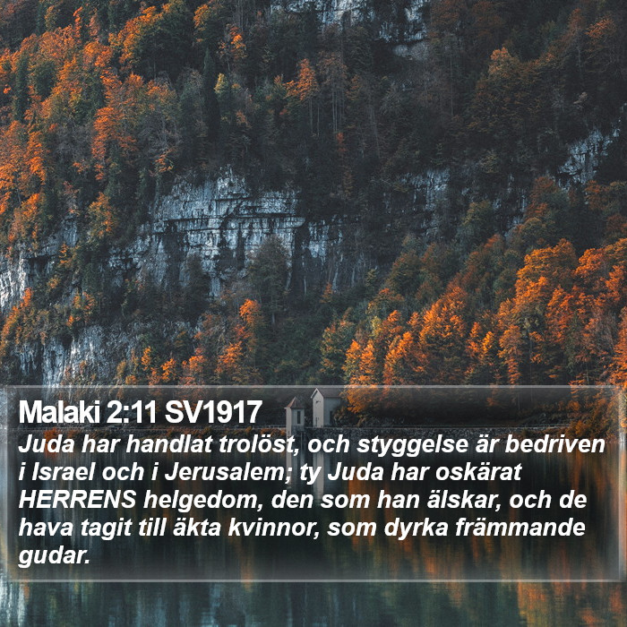 Malaki 2:11 SV1917 Bible Study