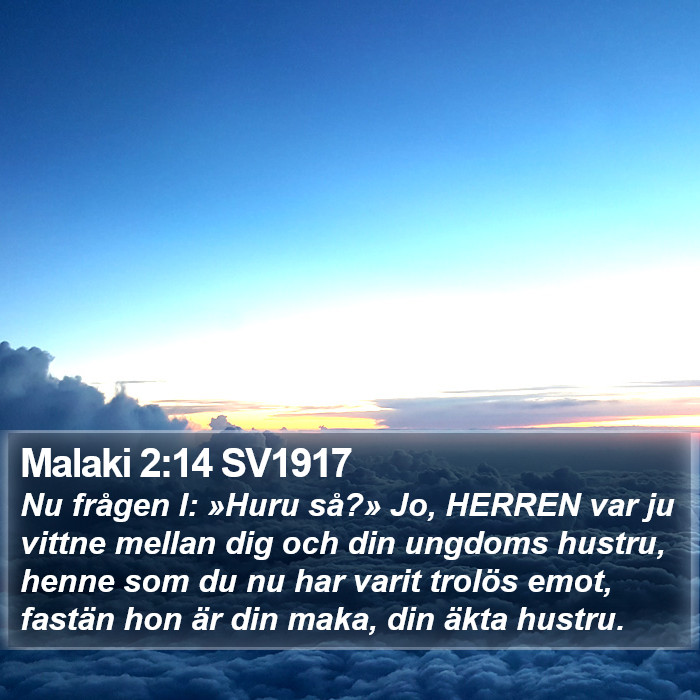Malaki 2:14 SV1917 Bible Study