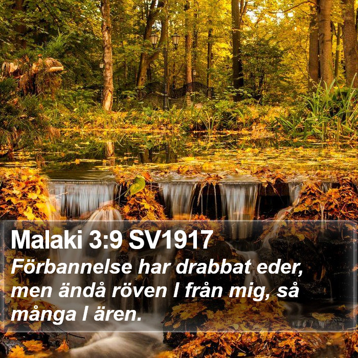 Malaki 3:9 SV1917 Bible Study