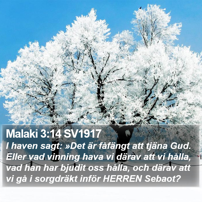 Malaki 3:14 SV1917 Bible Study