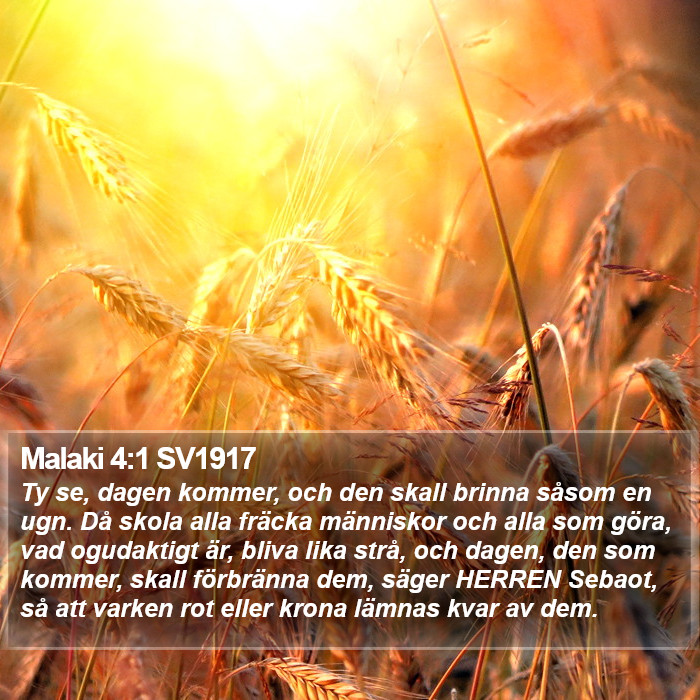 Malaki 4:1 SV1917 Bible Study