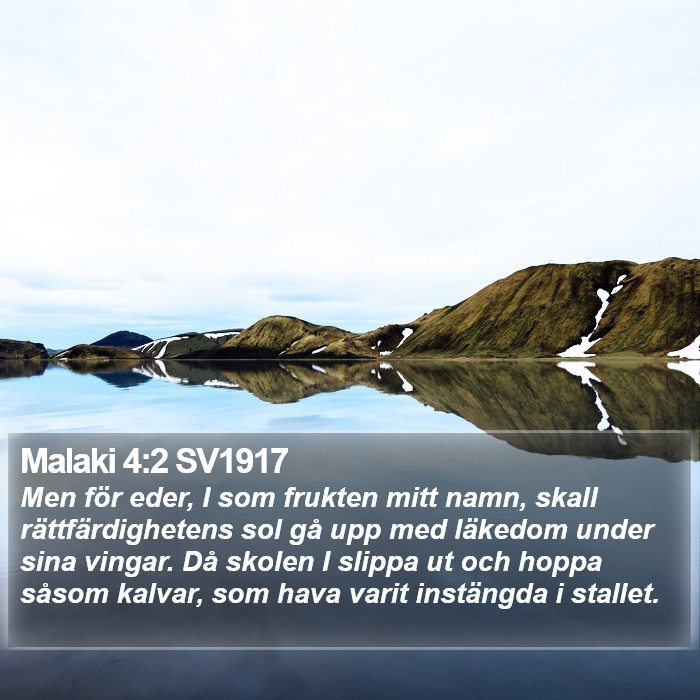 Malaki 4:2 SV1917 Bible Study