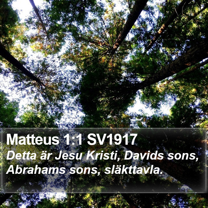 Matteus 1:1 SV1917 Bible Study