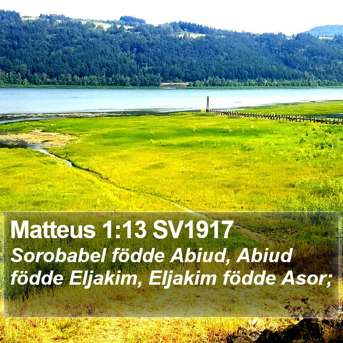 Matteus 1:13 SV1917 Bible Study