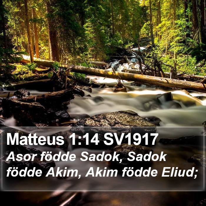 Matteus 1:14 SV1917 Bible Study