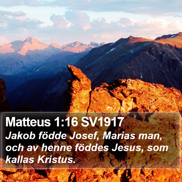 Matteus 1:16 SV1917 Bible Study