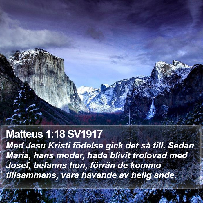 Matteus 1:18 SV1917 Bible Study