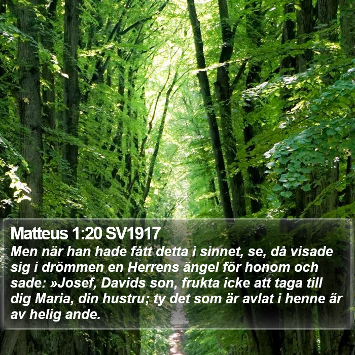 Matteus 1:20 SV1917 Bible Study