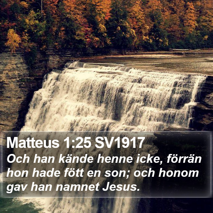 Matteus 1:25 SV1917 Bible Study