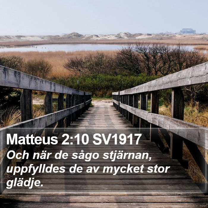 Matteus 2:10 SV1917 Bible Study