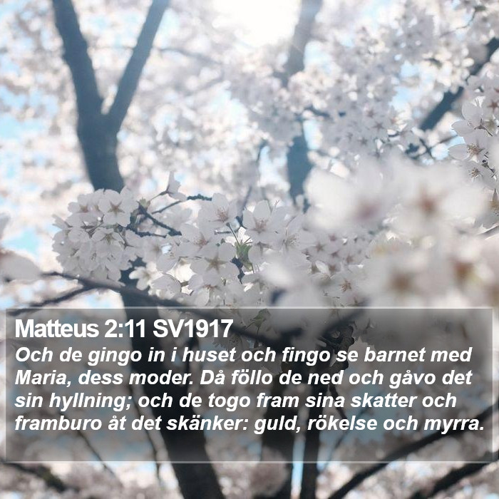 Matteus 2:11 SV1917 Bible Study