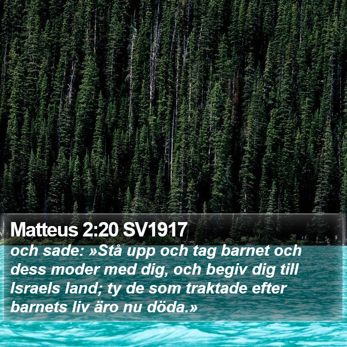 Matteus 2:20 SV1917 Bible Study