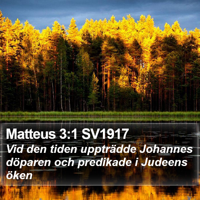 Matteus 3:1 SV1917 Bible Study